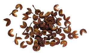 Sichuan peppercorn as an independent featured image
