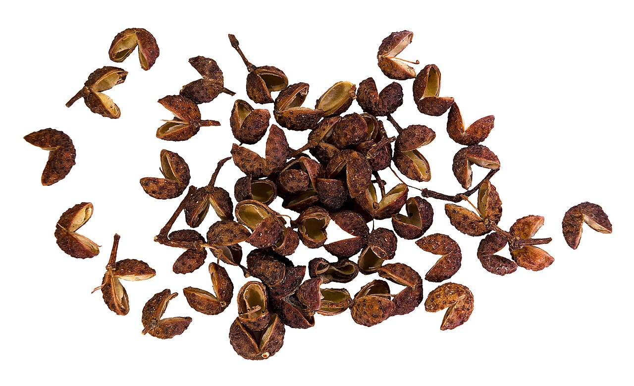 Sichuan peppercorn supporting cooking time and serving texture
