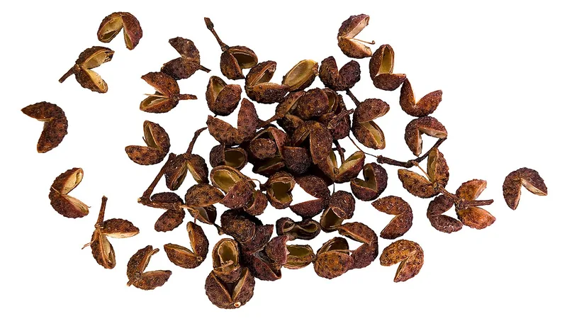 Sichuan Peppercorn Chicken Recipe: Heat, Aroma, and Stir-Fry Steps 2 Dried Sichuan pepper husks