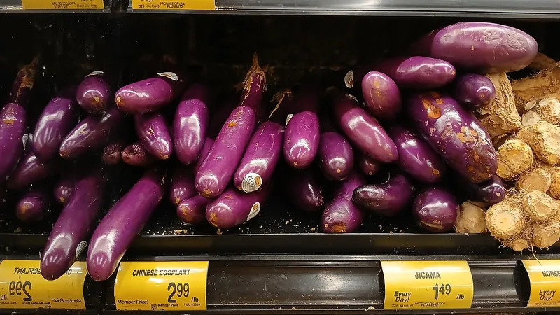 Sichuan Fish Fragrant Eggplant Recipe: Texture and Sauce Timing 2 Fresh purple Asian eggplants